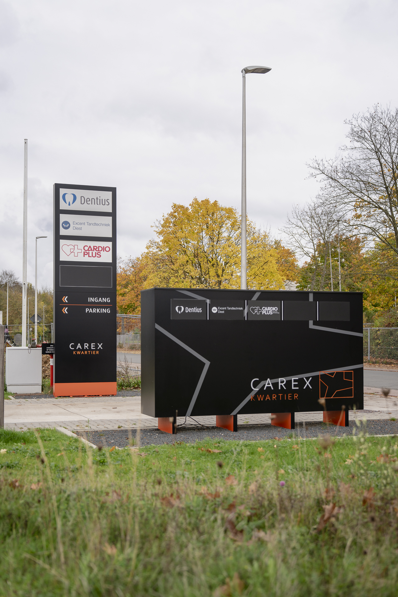 Cardioplus Lowres 01892